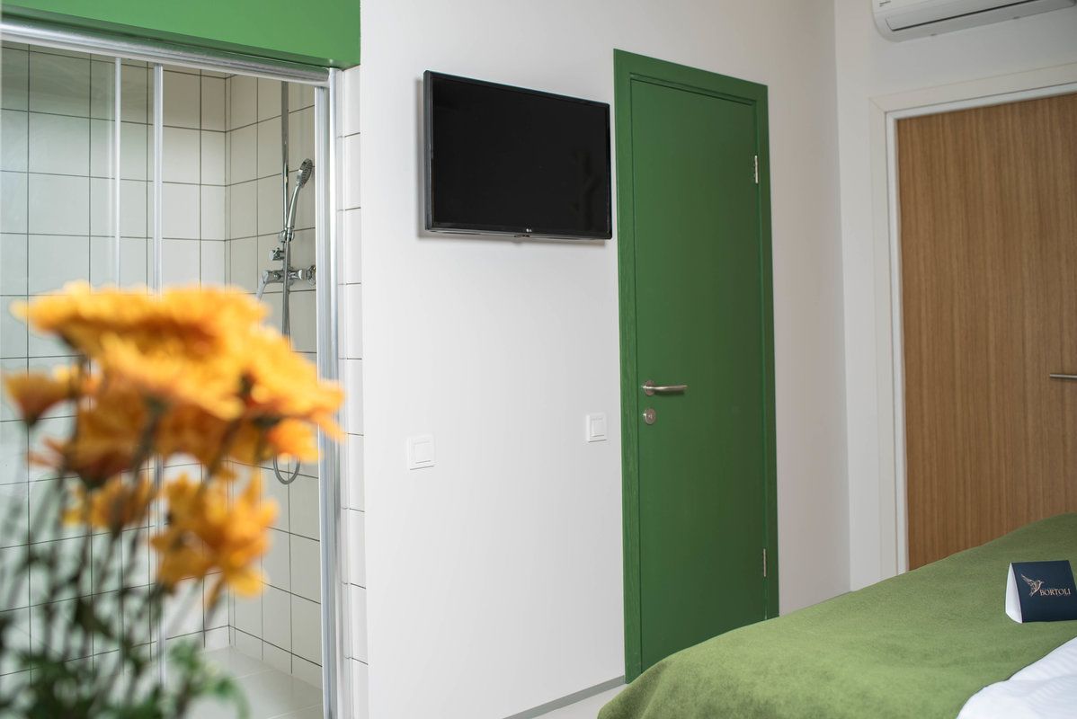 A hotel room with a shower, a green door, a bed with a green cover, and a TV mounted on the wall.