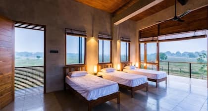 Tree Tops Yala