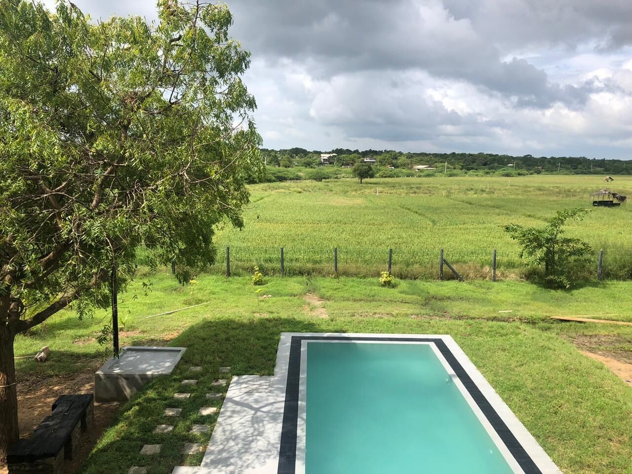 Una piscina rectangular con borde blanco y negro, rodeada por un césped con un árbol y una cerca.