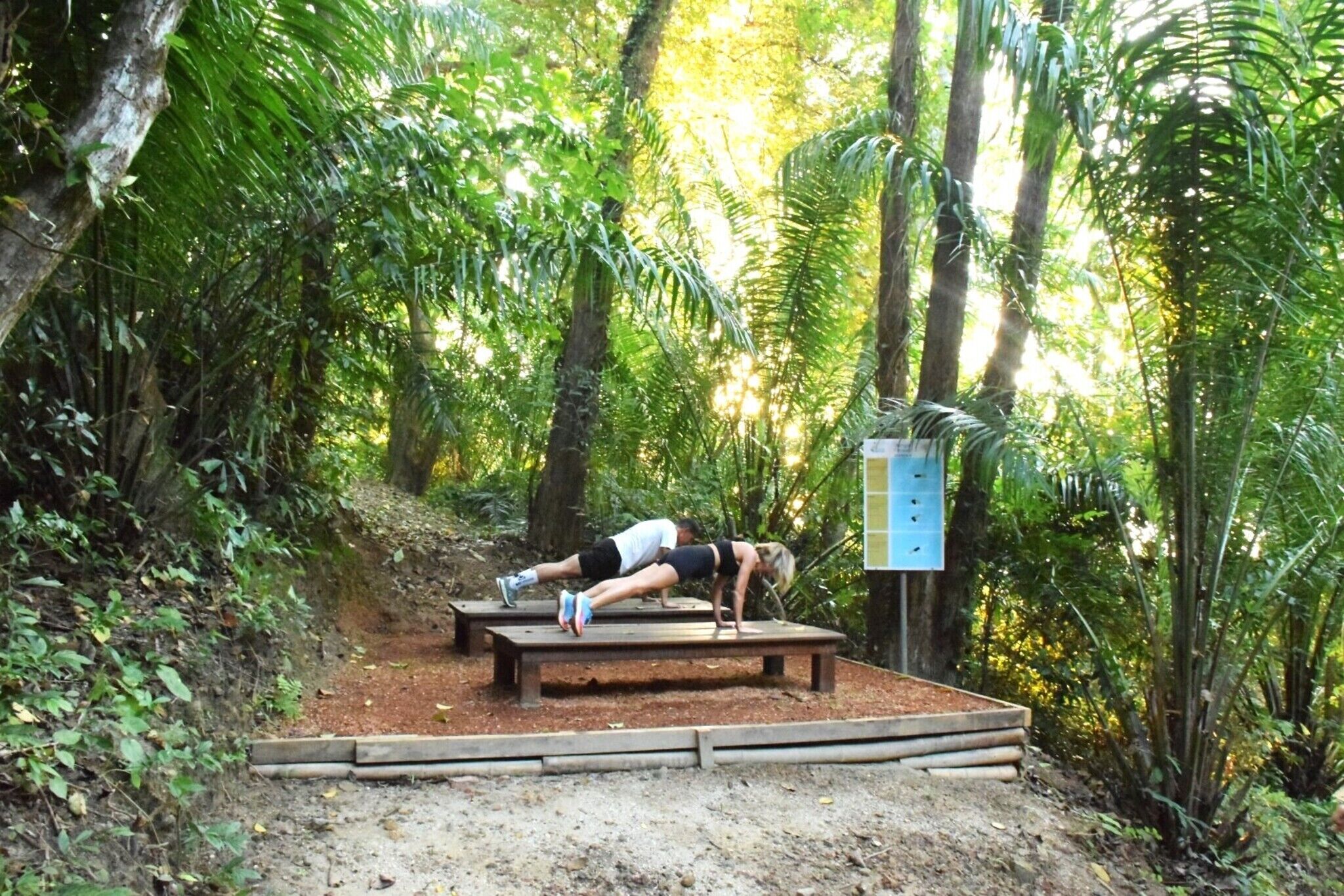 A person doing push-ups on a bench in a forested area with a blue structure nearby.