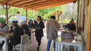 Un café al aire libre con mesas y sillas de madera, rodeado de follaje.
