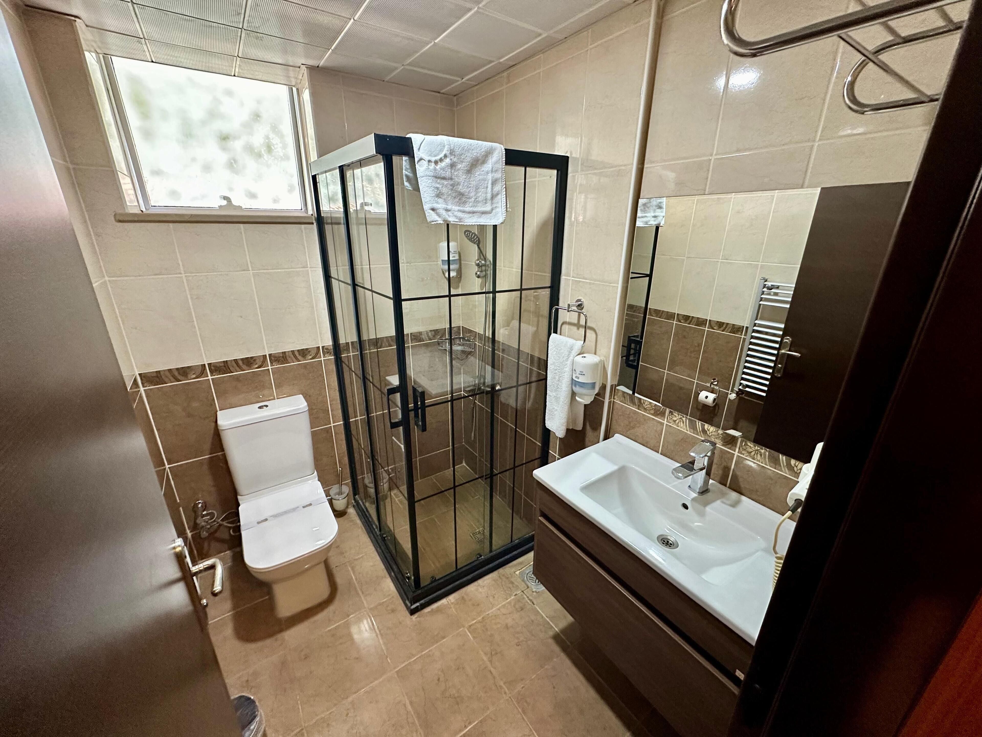 Et badeværelse med bruseniche, toilet, håndvask og spejl.