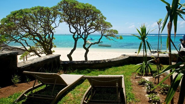 A beach view with lounge chairs, a tree, and a clear blue ocean.