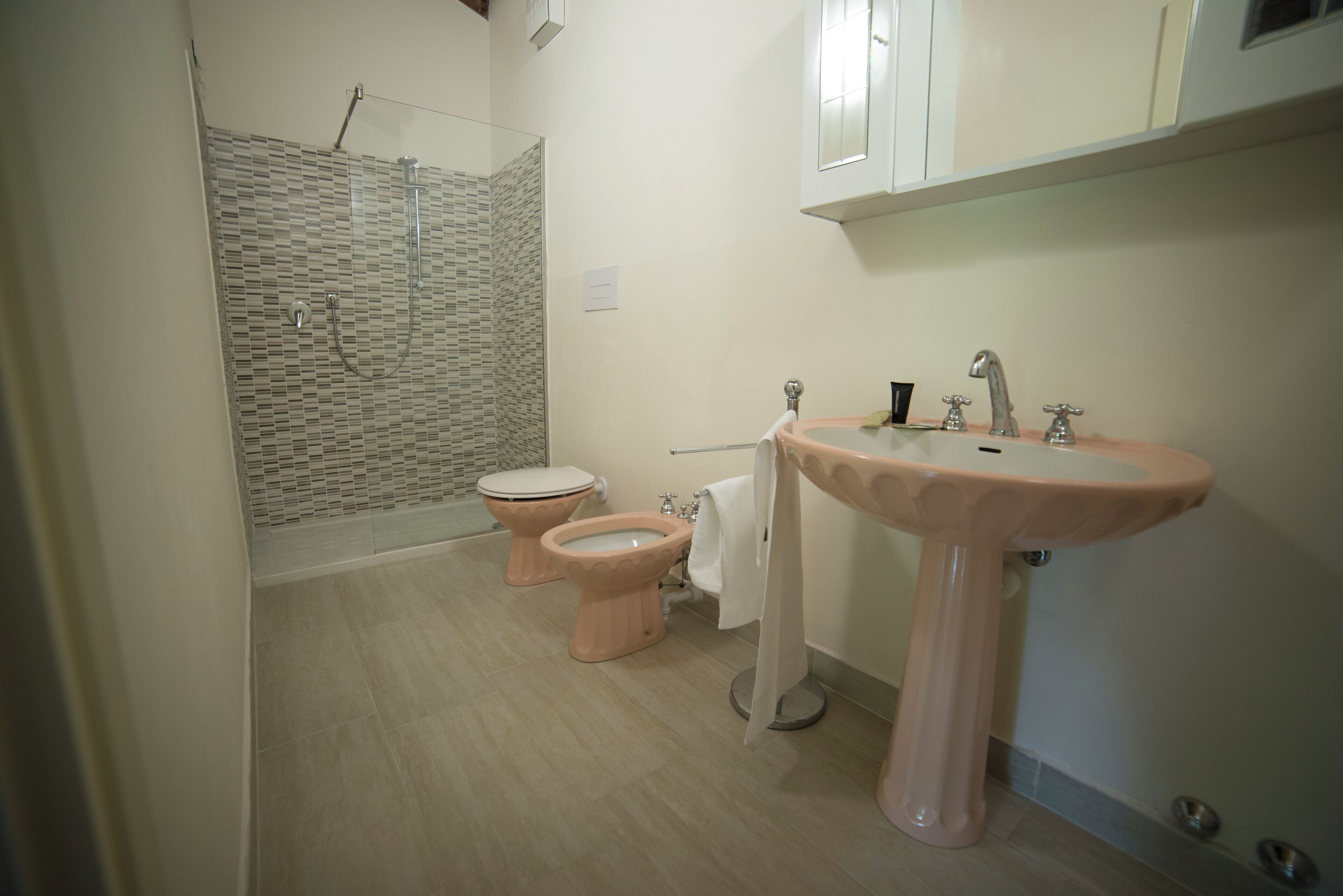 A bathroom with a shower, two toilets, a sink, and a mirror.