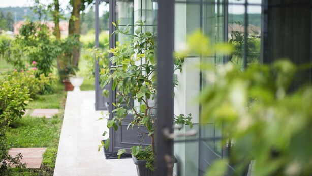 A pathway leading to a modern building with glass walls, surrounded by greenery and potted plants. - Villa Franca in Franciacorta (Passirano)