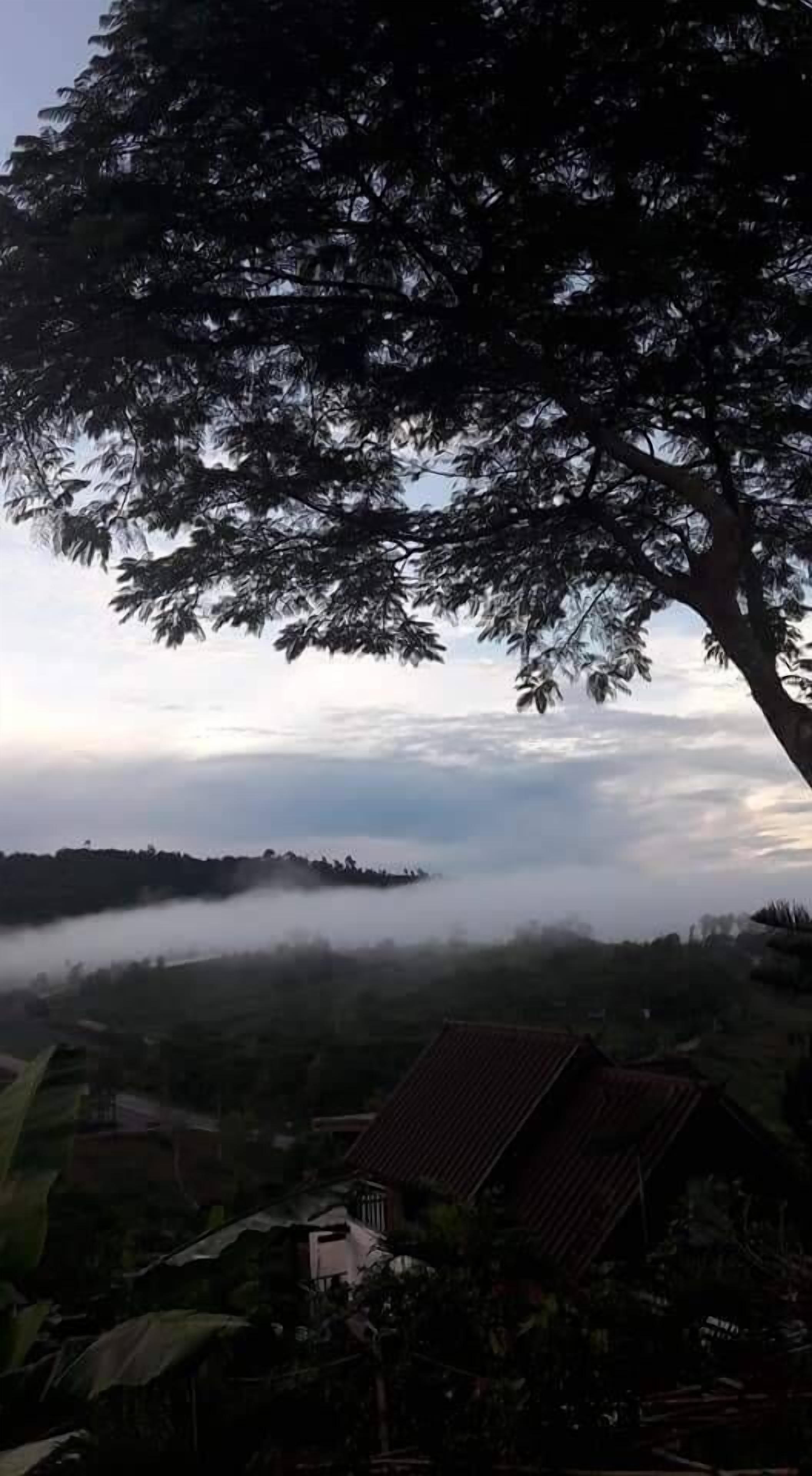 Un paisaje rural con un árbol grande, colinas cubiertas de niebla y algunas construcciones de arquitectura tradicional.