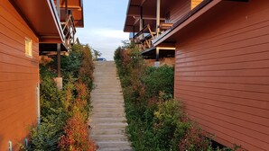 Un sendero que lleva a un edificio con techo inclinado y revestimiento de madera.