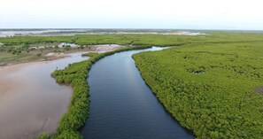 Plage, canoë, pêche sur place