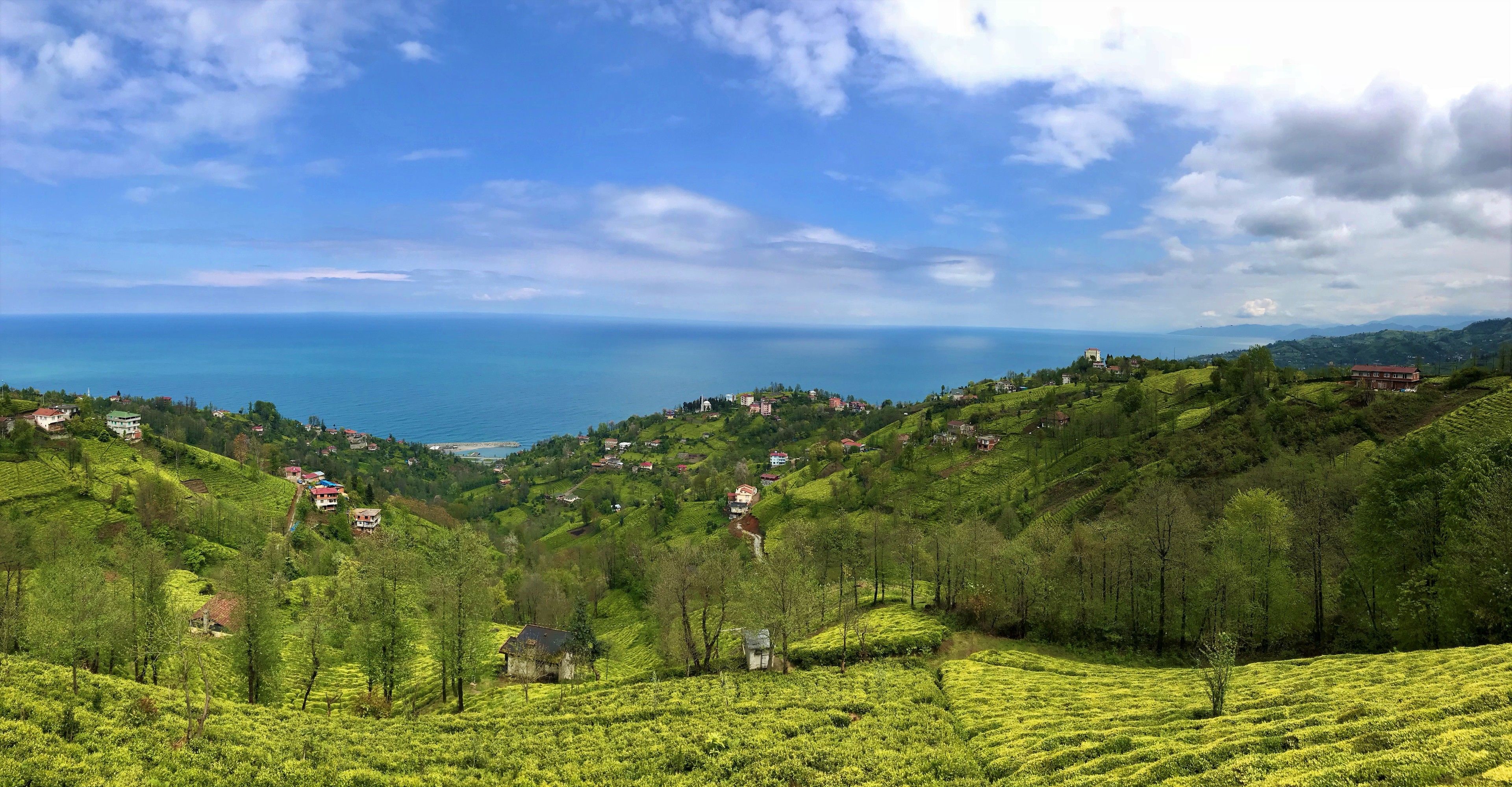 land view from property