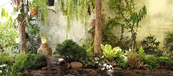 Muang Khon Guest House