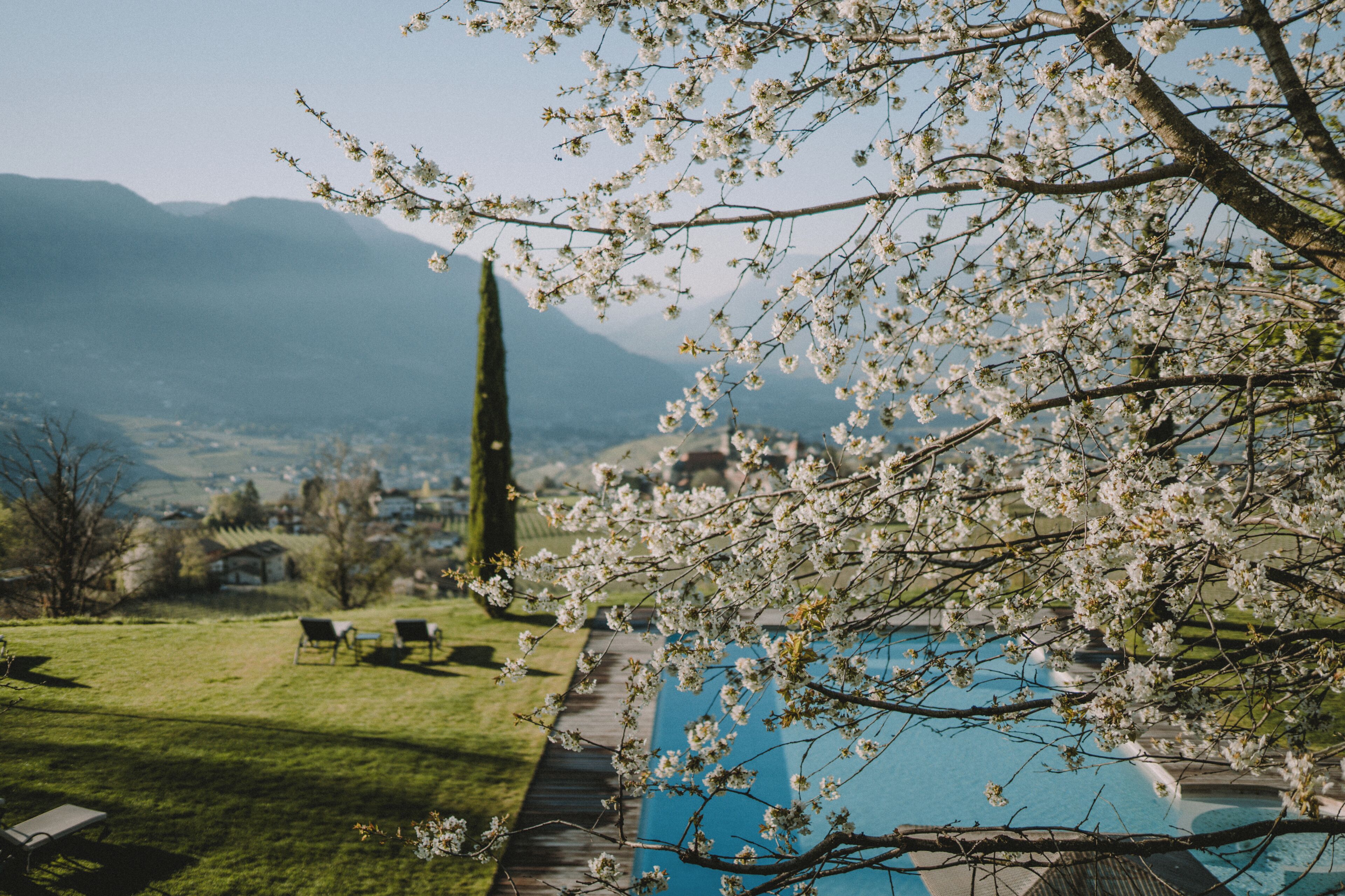 A poolside area with a view of mountains, a lawn, and a tall tree.