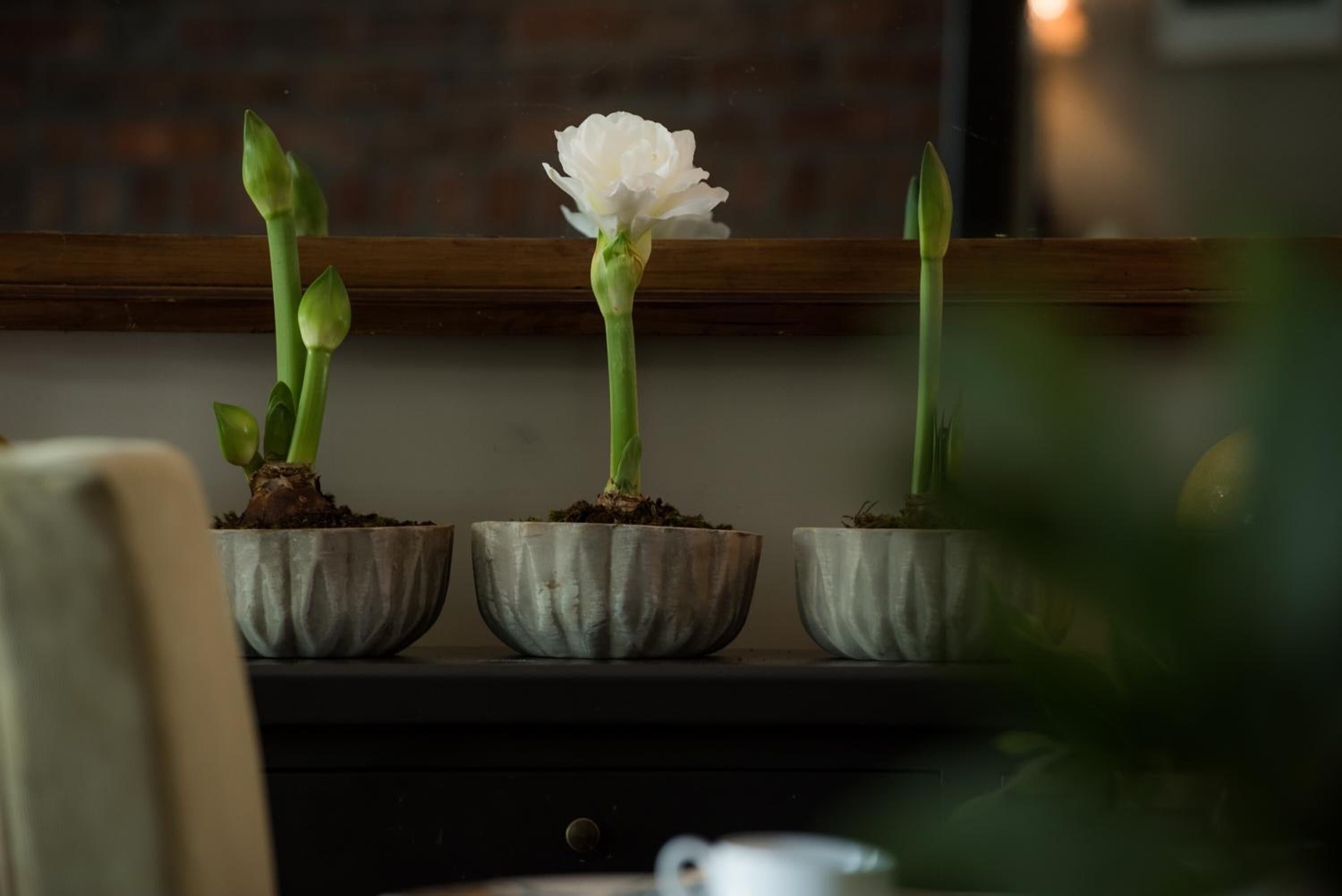 Foto - Welgelegen House by RETURN Africa