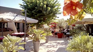 Terras