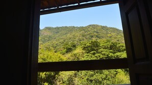 A window view of a lush green hillside. - Pousada Água Cristalina (Cachoeiras de Macacu)