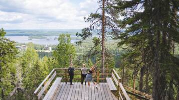 Área da propriedade