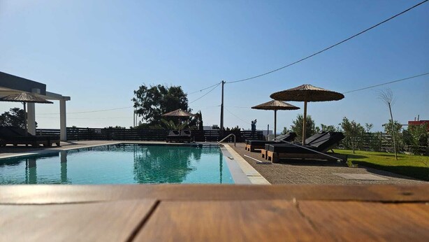 Piscina con sillas de descanso y sombrillas, rodeada de una valla y árboles.