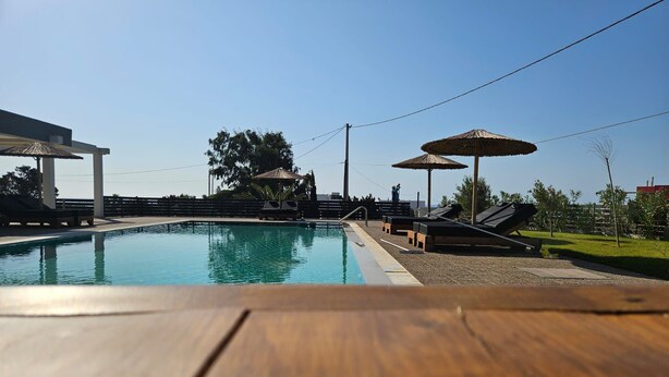 Une piscine entourée d’une clôture et d’arbres, avec des chaises longues et des parasols.