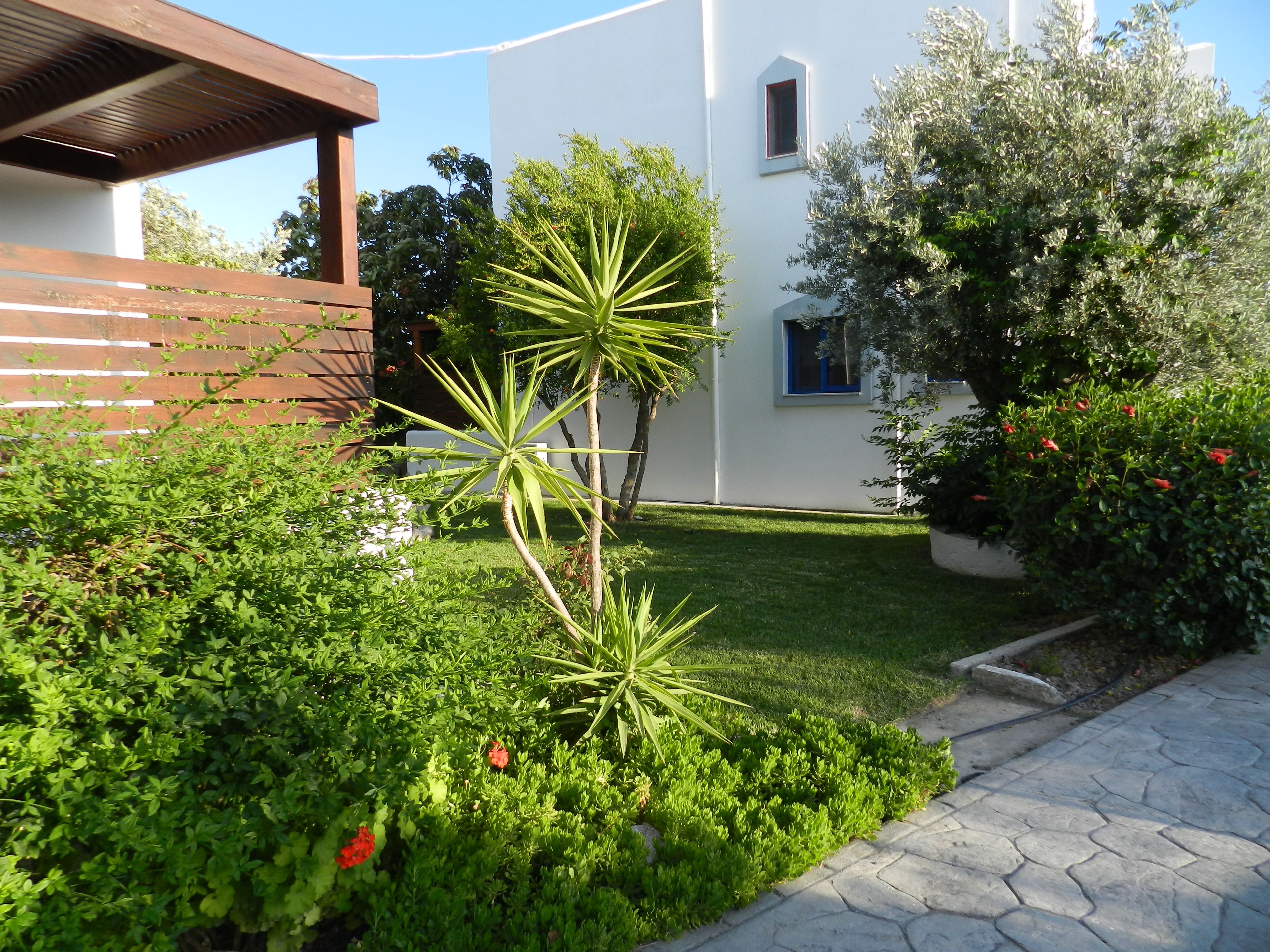 Ein gepflegter Garten mit verschiedenen Pflanzen, einem gepflasterten Weg und einem modernen Gebäude mit weißer Fassade und blauen Fenstern.