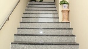 A staircase with a handrail, a fire extinguisher, and a potted plant on the landing.