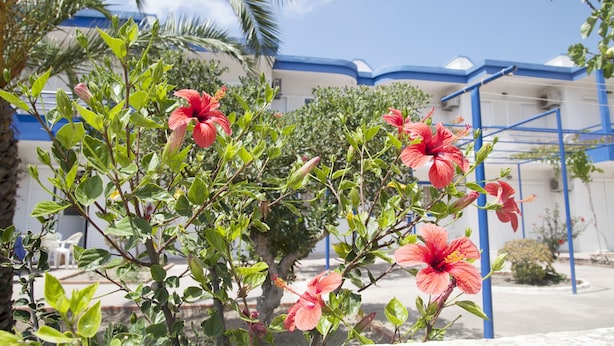 Un bâtiment avec un toit bleu et un jardin où poussent des fleurs rouges et des plantes à feuilles vertes.