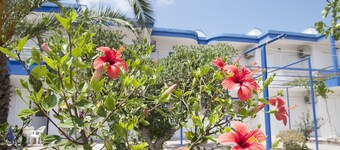 Maritsa Studios