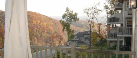View from Deck