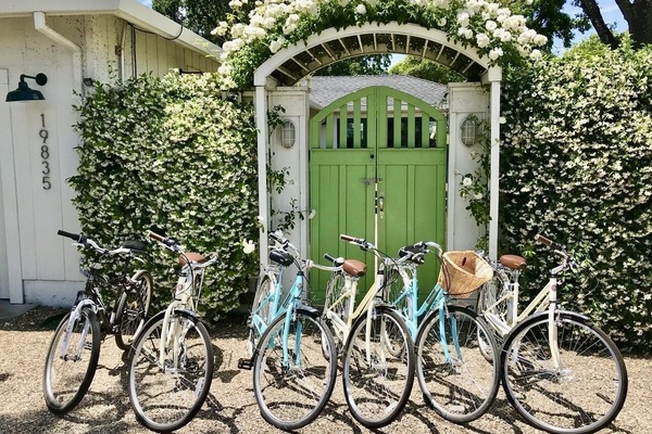 10 adult bikes with helmets and locks for touring Sonoma