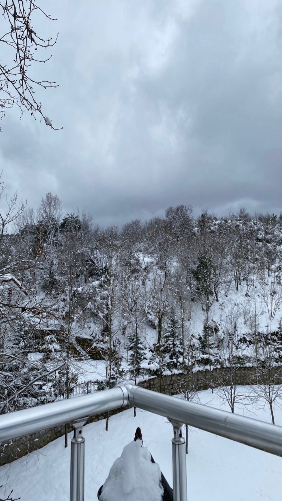 Facciata della struttura