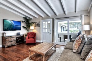 智能电视、DVD 播放器