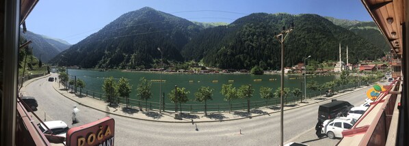 Vista desde la propiedad