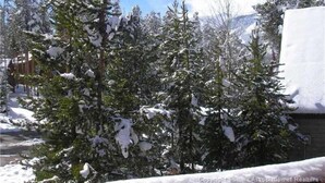 Schneebedeckte Landschaft mit immergrünen Bäumen und einem Gebäude im Hintergrund.