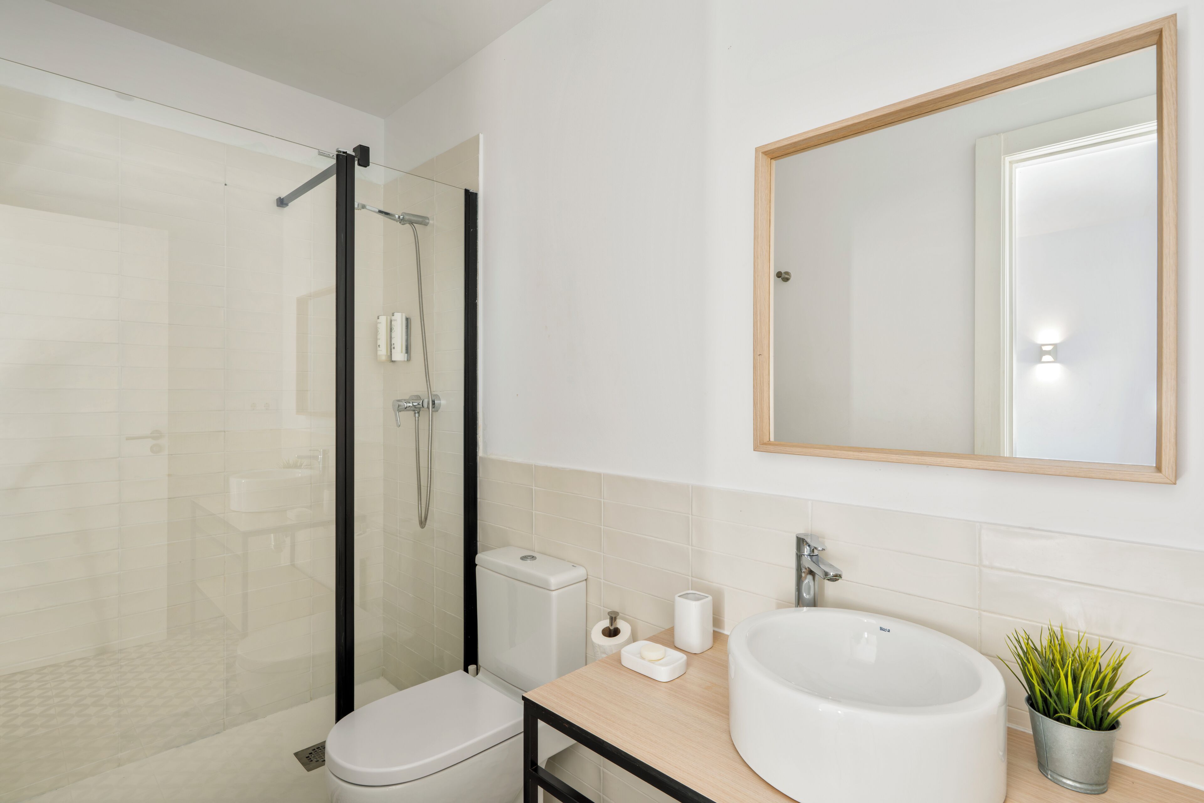 Een moderne badkamer met een douche met glazen wand, een toilet, een wastafel met spiegel en een kleine potplant.