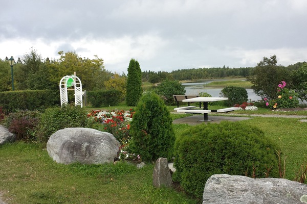 Park view