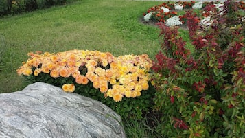 Jardín
