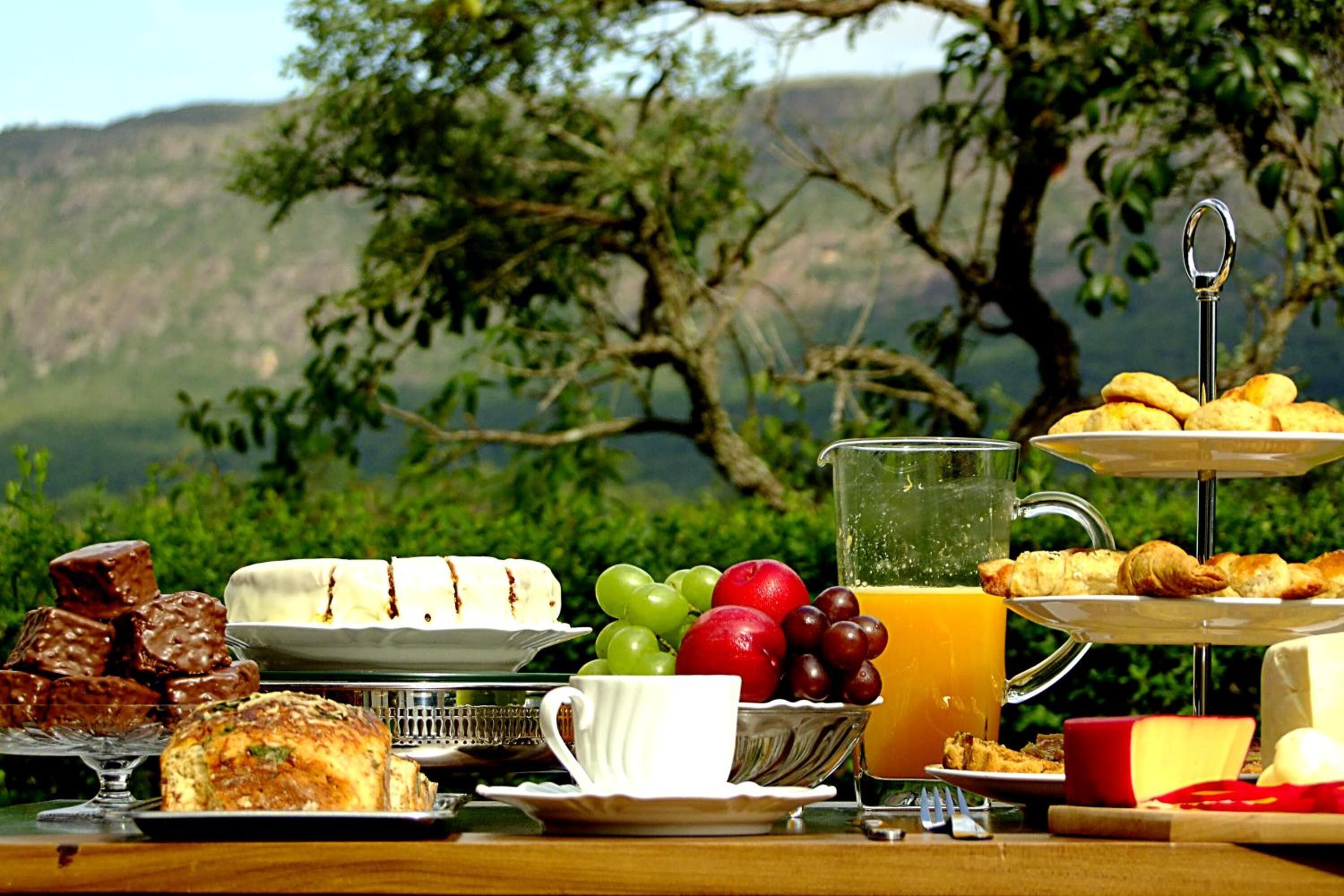 A picnic setup with various foods, a jug of juice, and a scenic outdoor view.