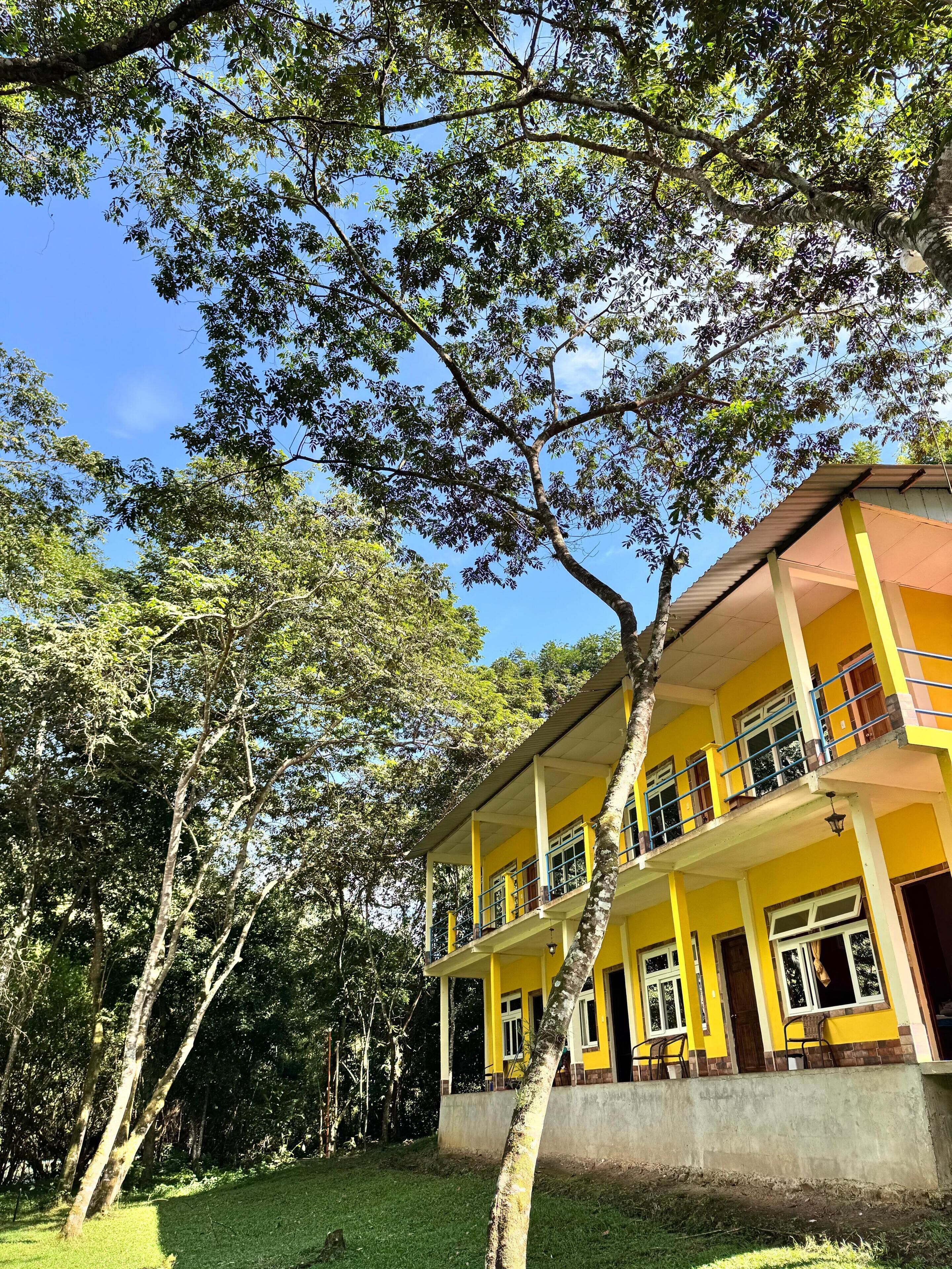 A two-story yellow building with a balcony, surrounded by trees.