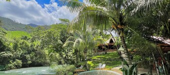 Hostal Oasis The Traveler - Hostel