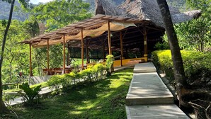 Un sendero de madera que conduce a una estructura con techo de paja, rodeada de exuberante vegetación y árboles.