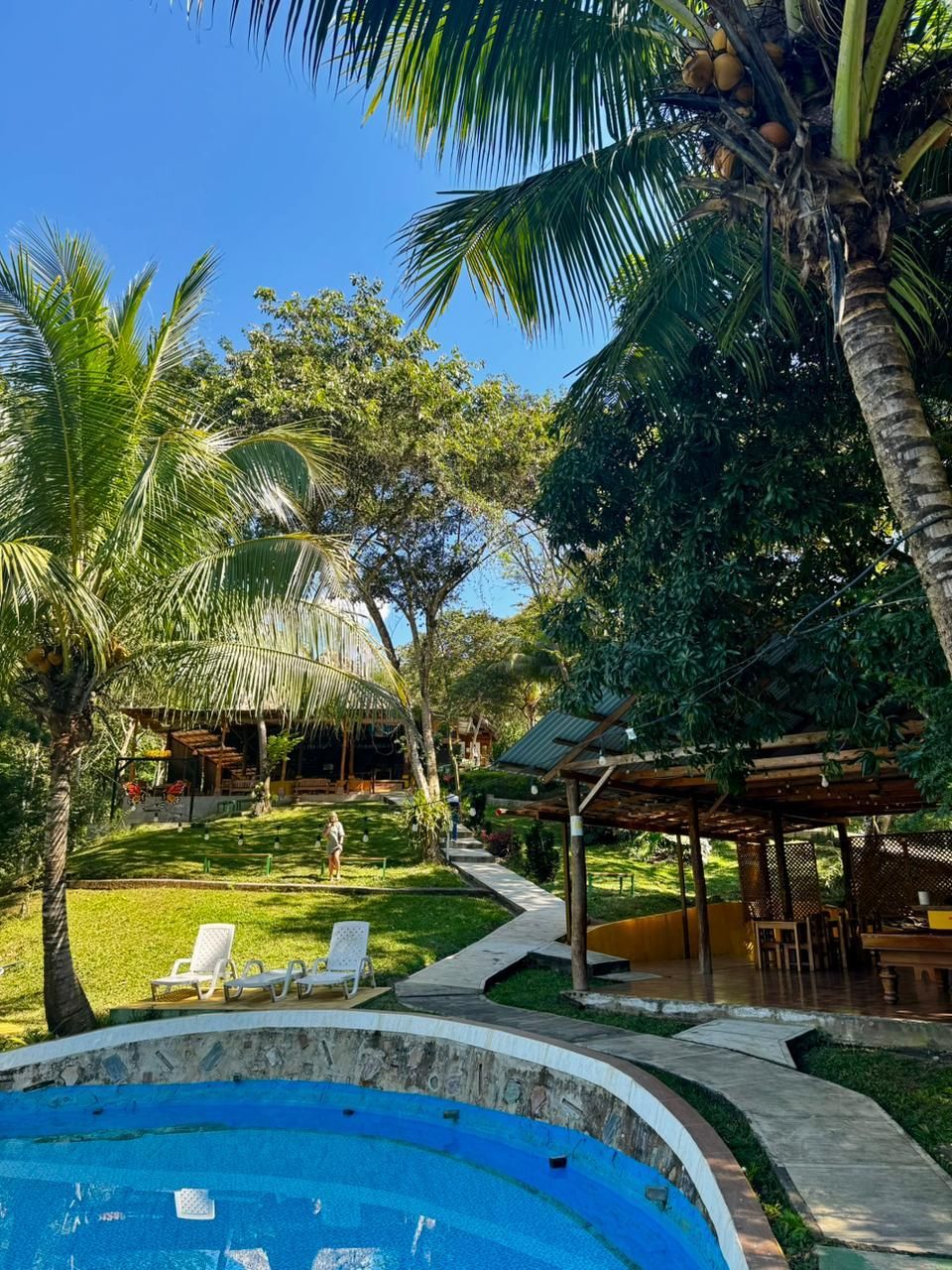 A pool area with lounge chairs, a covered seating area, and palm trees.