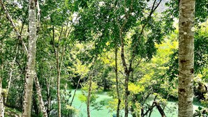 Uno scivolo acquatico in una zona boschiva con struttura blu e gialla, circondato da alberi e una vista limpida dell'acqua sottostante.