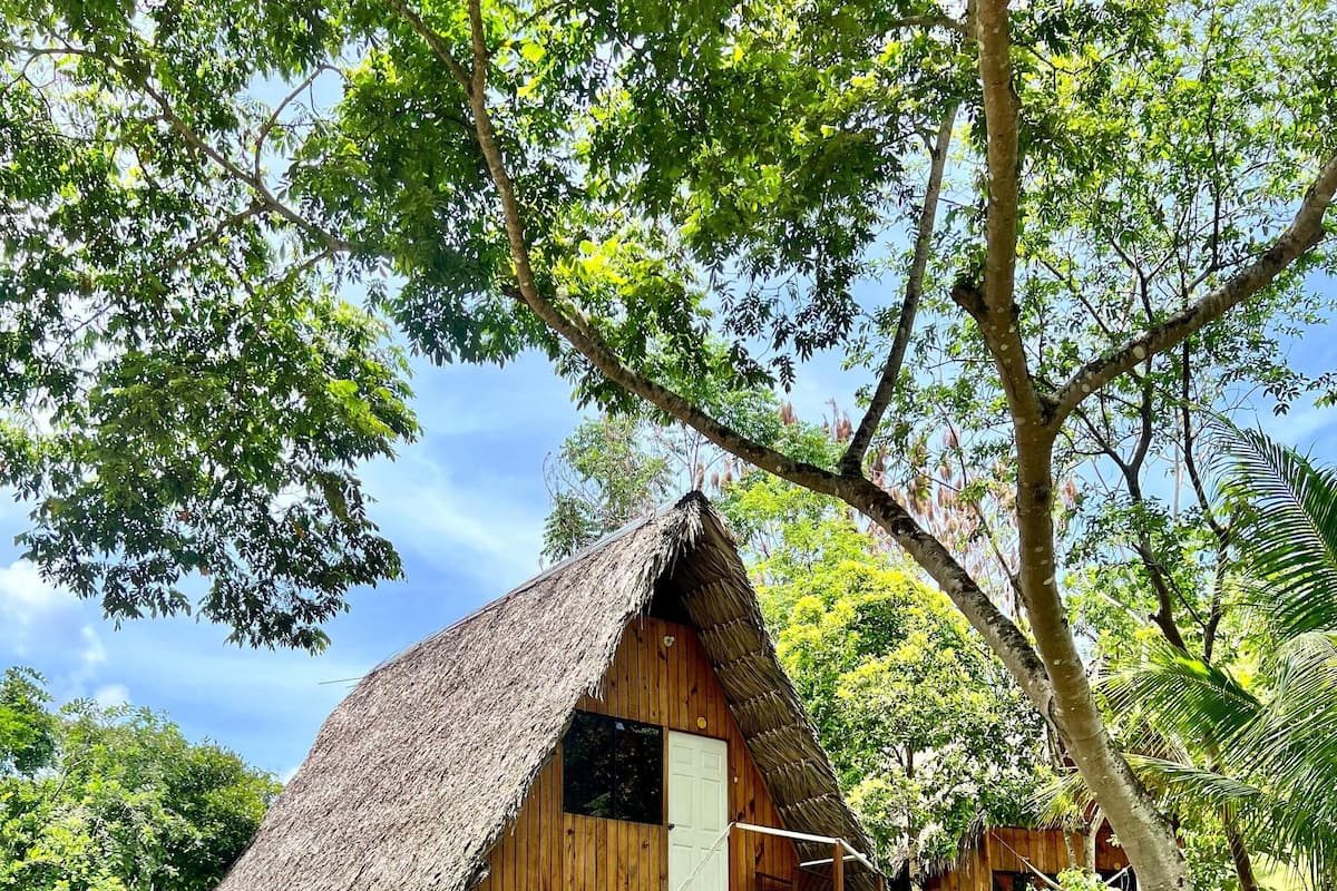 Une maison rustique en bois, avec un toit de chaume, un escalier en bois et un petit porche.