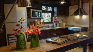 Full-sized fridge, microwave, oven, stovetop