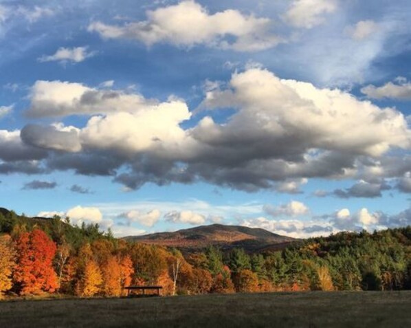 A landscape with a bench and trees in autumn colors under a partly cloudy sky. - Bark Eater Inn (Keene)