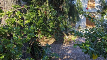 Jardín