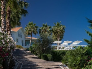 Un bâtiment blanc surmonté d’un toit recouvert de tuiles rouges, entouré de palmiers et bordé d’un chemin pavé menant à un espace extérieur abrité, aménagé avec des parasols.