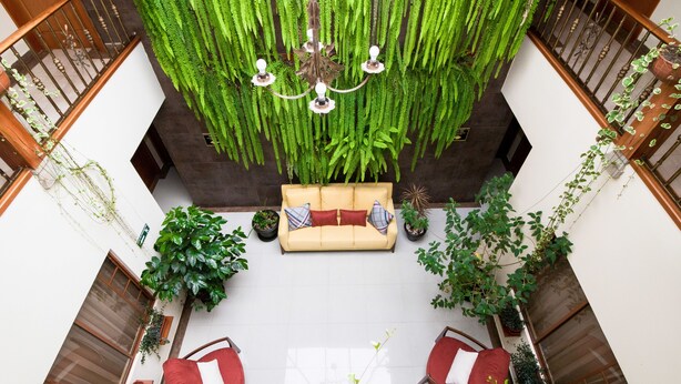 Un amplio atrium con zona de estar central, una araña y exuberantes plantas verdes.