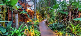 The Palms at Palm Cove