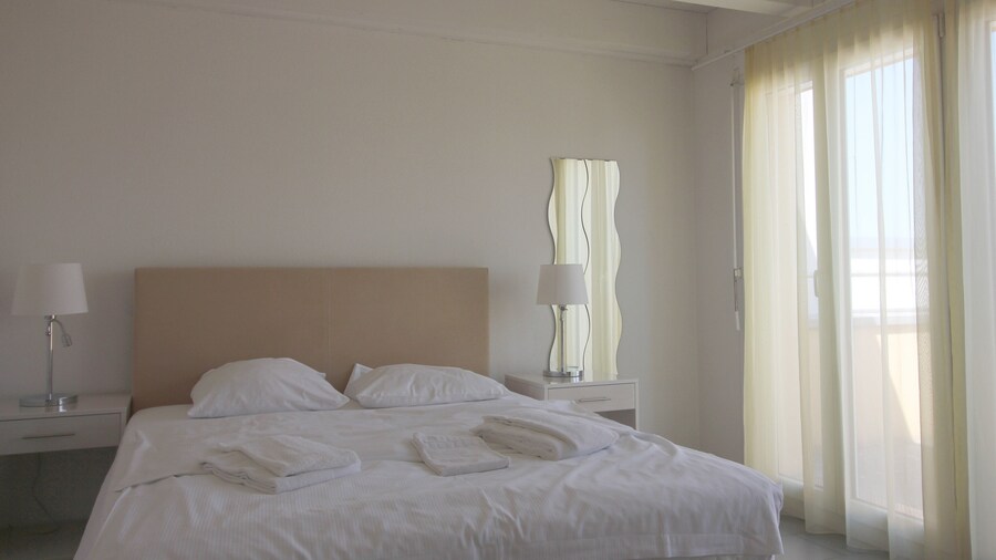 Swiss Star District 11