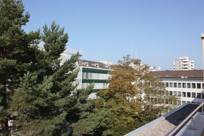 Swiss Star District 11