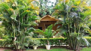 A wooden cabin surrounded by lush tropical vegetation. - Hill 'N' You - A Boutique Garden Resort (Abu Road)